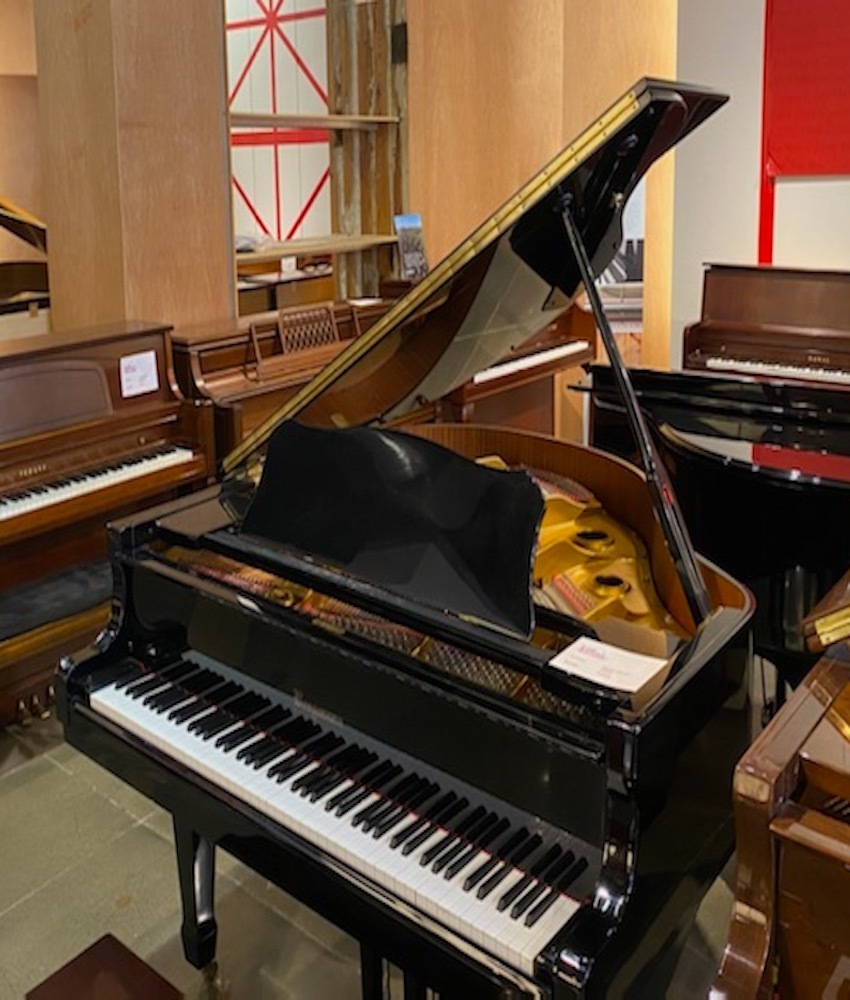 Bergmann TG150 Baby Grand Piano or Polished Ebony