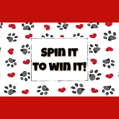 Spin It to Win It!