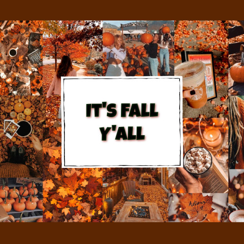 It's Fall Y'All