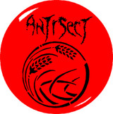 Antisect Logo Red 1" Pin Antisect Logo Red 1" Pin