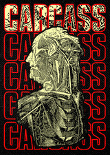 Carcass - Corpse Anatomy 14x18" Printed Backpatch