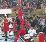 Lucha Libre Mexicana Mask: Deadpool
