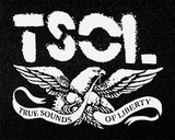 T.S.O.L. - Logo 4x5" Printed Patch
