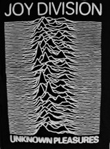 Joy Division - Unknown Pleasures Test Print Backpatch