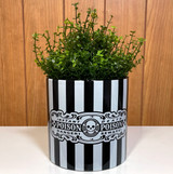 Striped Poison Ceramic Planter*