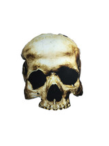 Skull Throw Pillow
