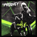 Prodigy - Omen 4x4" Color Patch