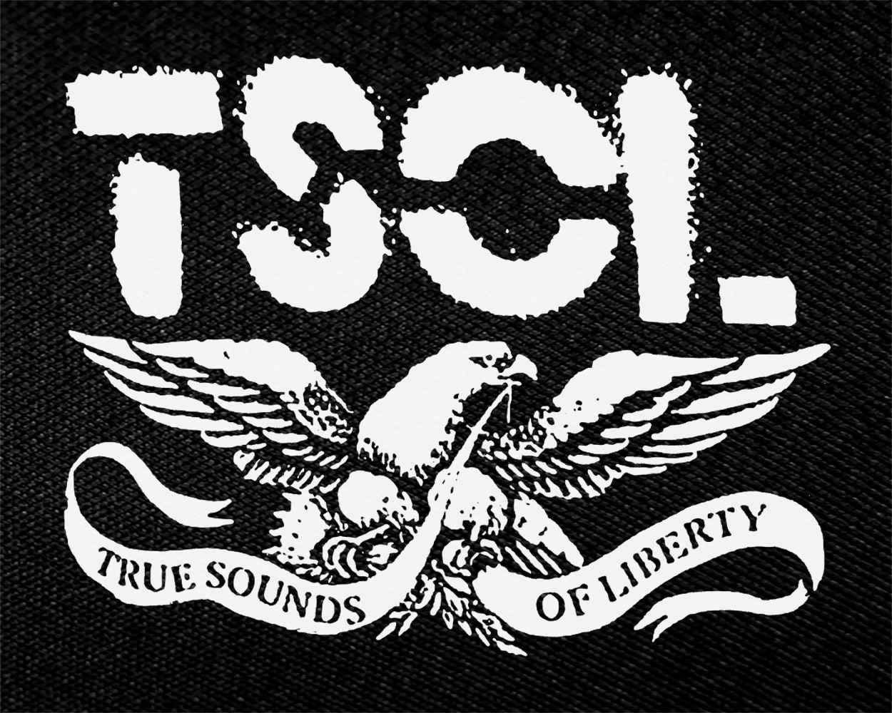 T.S.O.L. - Logo 4x5" Printed Patch