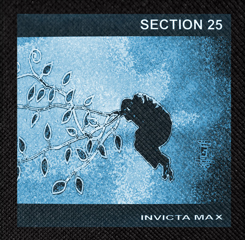 Section 25 - Invicta 4x4" Color Patch