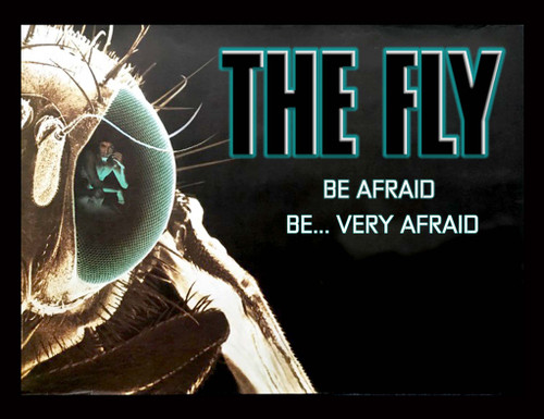 The Fly - Be Afraid 5x4" Movie Color Patch