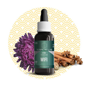 Wifi OG Wifi OG