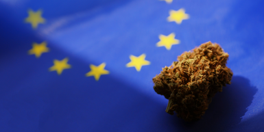 ​Navigating Waves of Change: The Impact of Industry Trends on Terpene Use in the EU Cannabis Market