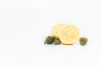 Limonene, Linalool, Beta-caryophyllene & Myrcene: Main Benefits and Research