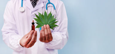 Why Terpene Profiles Matter in Medicinal Cannabis Products