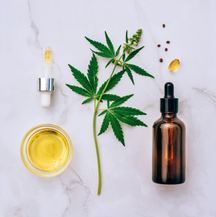 A Guide to ​Boosting the Health Benefits of CBD with Terpenes