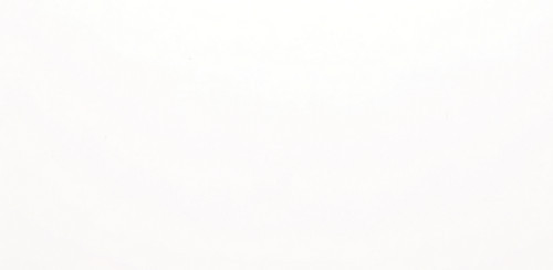 Solid White Matte 12x24