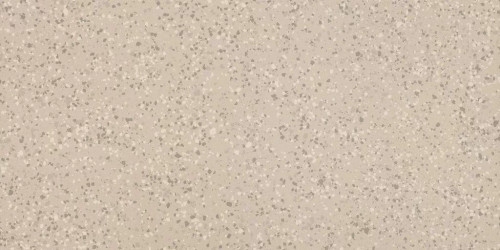 Parade Almond Terrazzo Matte 24x48