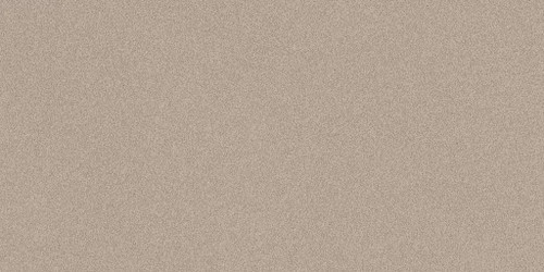 Parade Beige Matte 24x48
