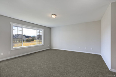 TAS Flooring Arches Collection: Delicate Arch 24 oz Polyester 12' Wide Residential Broadloom Carpet