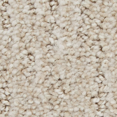 TAS Flooring Olympic Splendor Collection: Sandy Shore 25 oz Solution Dyed Polyester 12' Wide Residential Broadloom Carpet