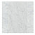 Carrara Honed 12x24