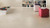 Evolve Suede 12x24