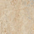 Marmoleum-- CinchLOC Caribbean