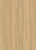 TAS Flooring Levels 2.5 mm Collection: Even 7" x 48" Luxury Vinyl Flooring