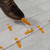 The Xtreme Tile Leveling System was developed out of a need to diminish costly mistakes due to unleveled tiles causing lippage in high-end installations. It is the perfect system to use with tile plank and large-format rectified porcelain, marble and stone and the flat base design is ideal for wall tile installations. This time saving system adjusts the height of the tiles and evenly holds their edges throughout the curing process. It is the most cost effective installation method on the market to eliminate lippage.

QEP Xtreme Tile Leveling Wedges Feature:

Flat base maximizes adhesive coverage and ensures tile surface is lippage-free.
Notches on each side of the clip allow mortar to dispense evenly to eliminate potential voids.
Accommodates tiles up to 1/2" thick.
Wide wedge design holds tiles securely while mortar dries.
Reusable 7/8" wide wedge.