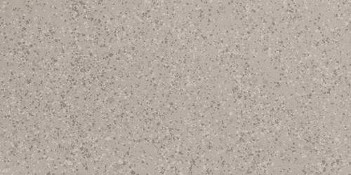 Parade Silver Terrazo Matte 24x48