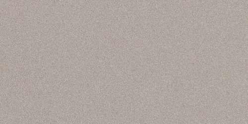 Parade Silver Matte 24x48
