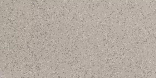 Parade Silver Terrazzo Matte 24x48
