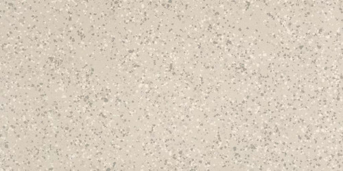 Parade White Terrazzo Matte 24x48