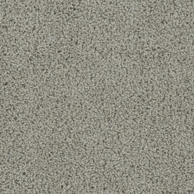 TAS Flooring Arches Collection: Tower Arch 24 oz Polyester 12' Wide Residential Broadloom Carpet