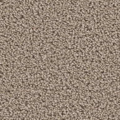 TAS Flooring Arches Collection: Landscape Arch 24 oz Polyester 12' Wide Residential Broadloom Carpet