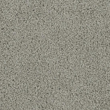 TAS Flooring Arches Collection: Skyline Arch 24 oz Polyester 12' Wide Residential Broadloom Carpet