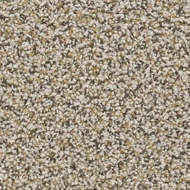 TAS Flooring Arches Collection: Broken Arch 24 oz Polyester 12' Wide Residential Broadloom Carpet