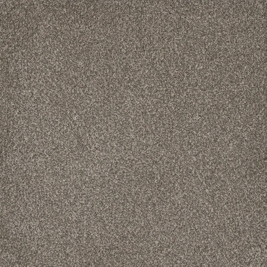 TAS Flooring North Cascades Collection: Hidden Lake 40 oz Solution Dyed Polyester 12' Wide Residential Broadloom Carpet