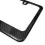 Ford Mustang Outline Dual Logo Black Real Carbon Fiber License Plate Frame