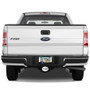 Ford F-150 2009-2014 3D Logo on Brushed Oval Billet Aluminum 2 inch Tow Hitch Cover