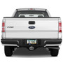 Ford F-150 2009-2014 3D Logo on Carbon Fiber Look Oval Billet Aluminum 2 inch Tow Hitch Cover