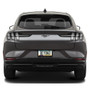 Ford Mustang Mach-E in 3D Gray Letters on Real Carbon Fiber Finish ABS Plastic License Plate Frame