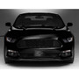 Ford Mustang 3D Real Carbon Fiber Chrome Metal Logo on Carbon Fiber Pattern Stainless Steel License Plate