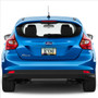 Ford Focus RS Black Carbon Fiber Texture ABS Plastic 50 States License Plate Frame