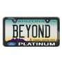 Ford F-150 Platinum Black Carbon Fiber Look ABS Plastic License Plate Frame