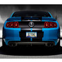 Ford Logo Blue Carbon Fiber Texture ABS Plastic 50 States License Plate Frame