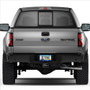 Ford F-150 Blue Carbon Fiber Texture ABS Plastic 50 States License Plate Frame