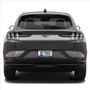 Ford Mustang Mach-E Blue Carbon Fiber Texture ABS Plastic 50 States License Plate Frame