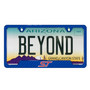Ford ST Blue Carbon Fiber Texture ABS Plastic 50 States License Plate Frame