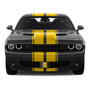 Dodge R/T 3D Logo in Yellow on Yellow Stripe Black Carbon Fiber Look Stainless Steel License Plate